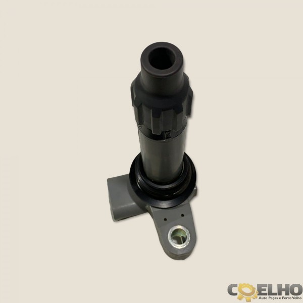 Bobina Ignição Captiva 3.6 V6 09/10 (1655)