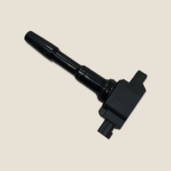 Bobina Ignição Nissan Kicks Sl 1.6 Flex 2019 Aut. (173)