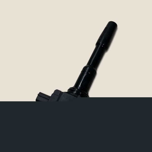 Bobina Ignição Nissan Kicks Sl 1.6 Flex 2019 Aut. (175)