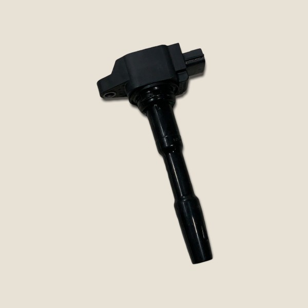 Bobina Ignição Nissan Kicks Sl 1.6 Flex 2019 Aut. (175)