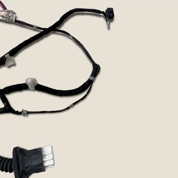 Chicote Porta Traseira Direita Nissan Kicks Sl 2019 (333)