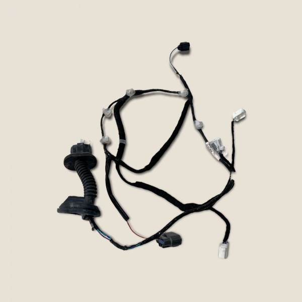 Chicote Porta Traseira Direita Nissan Kicks Sl 2019 (333)