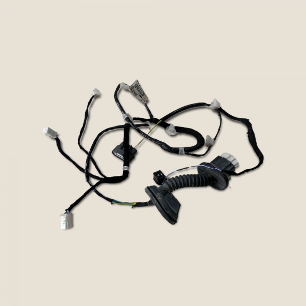 Chicote Porta Traseira Esquerda Nissan Kicks Sl 2019 (332)