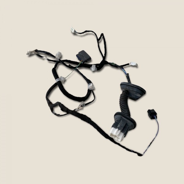 Chicote Porta Traseira Esquerda Nissan Kicks Sl 2019 (332)