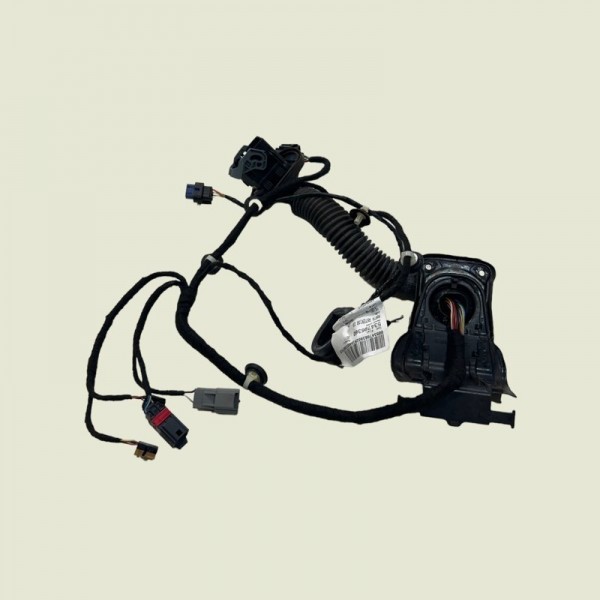 Chicote Porta Passageiro Compass Sport 2019 (1509)