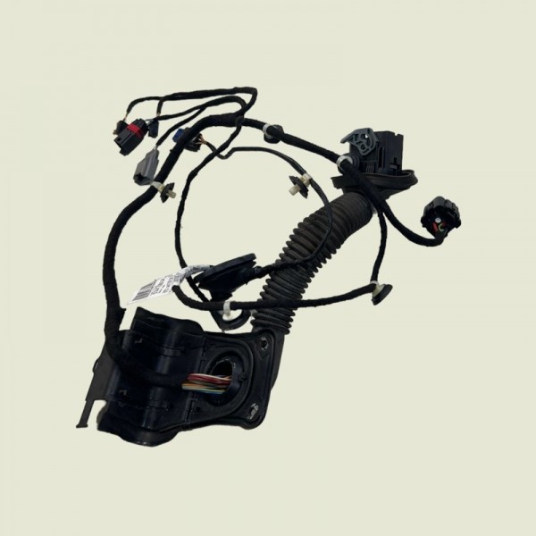 Chicote Porta Passageiro Compass Sport 2019 (1509)