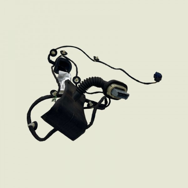 Chicote Porta Traseira Direita Compass Sport 2019 (1510)