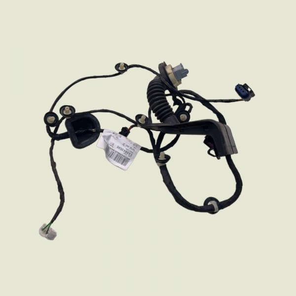 Chicote Porta Traseira Direita Compass Sport 2019 (1510)