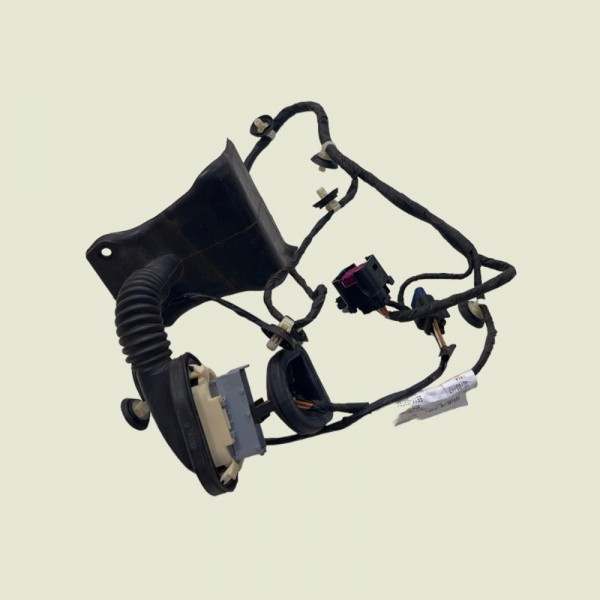 Chicote Porta Traseira Esquerda Compass Sport 2019 (1511)