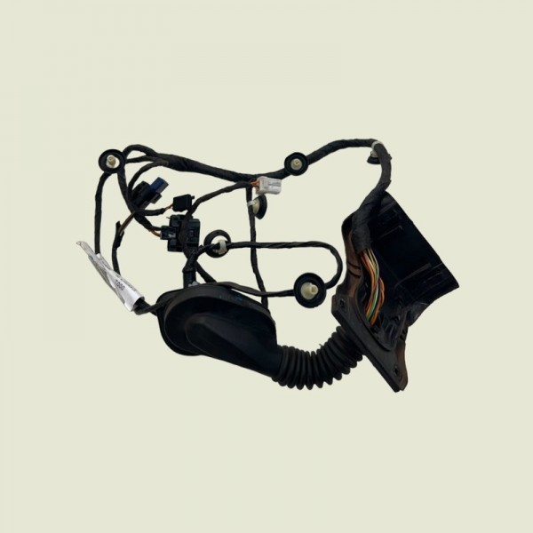 Chicote Porta Traseira Esquerda Compass Sport 2019 (1511)