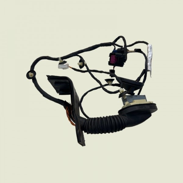 Chicote Porta Traseira Esquerda Compass Sport 2019 (1511)