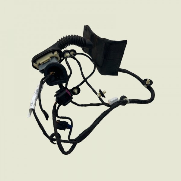 Chicote Porta Traseira Esquerda Compass Sport 2019 (1511)