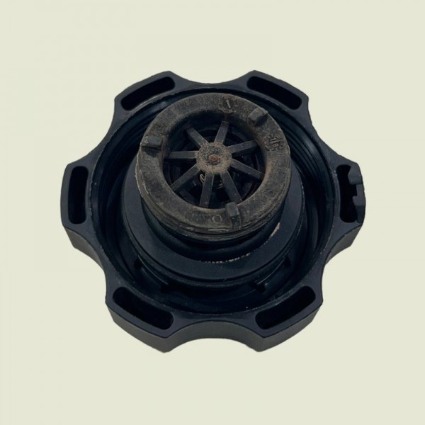 Tampa Reservatório Radiador Compass Flex 2019 (1530)