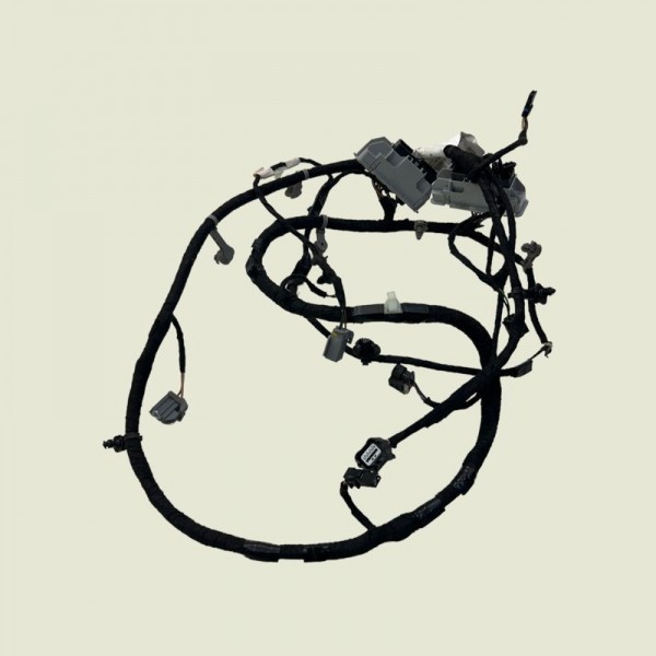 Chicote Tampa Traseira Compass Flex 2019 53449890 (1571)