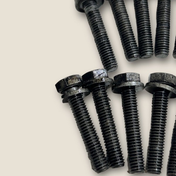 Jogo Parafuso Cabeçote Amarok Biturbo 180cv 2015 (1802)