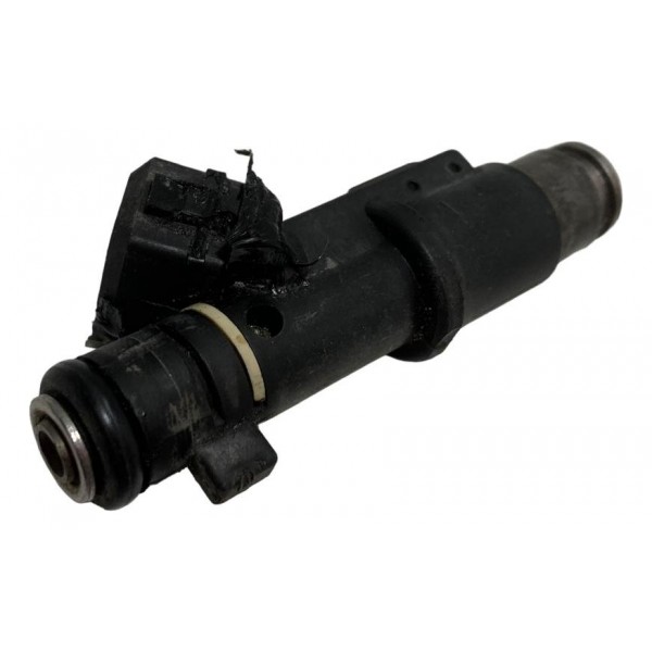 Bico Injetor Citroen Picasso 2.0 16v 2004