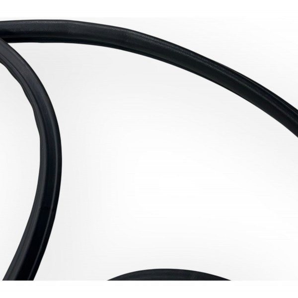 Borracha Porta Traseira Esquerdo Captiva 2011 Original