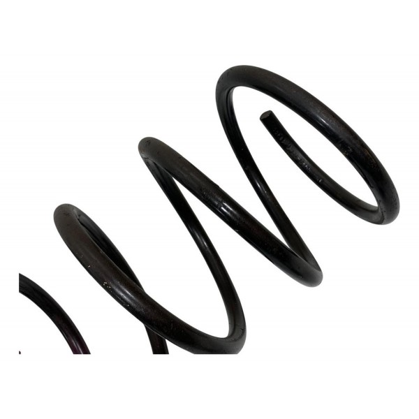 Mola Dianteira Citroen Picasso 2003