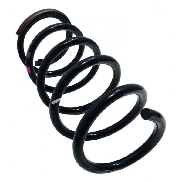 Mola Dianteira Renault Sandero Stepway 2014