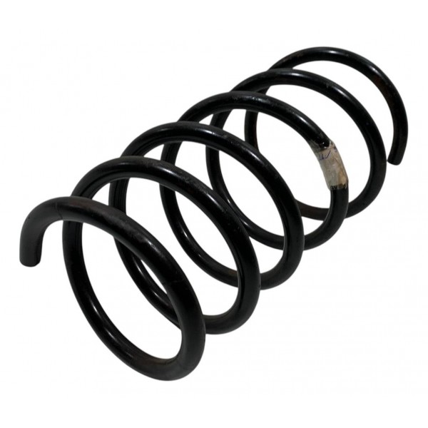 Mola Dianteira Renault Scenic 1.6 16v 2006