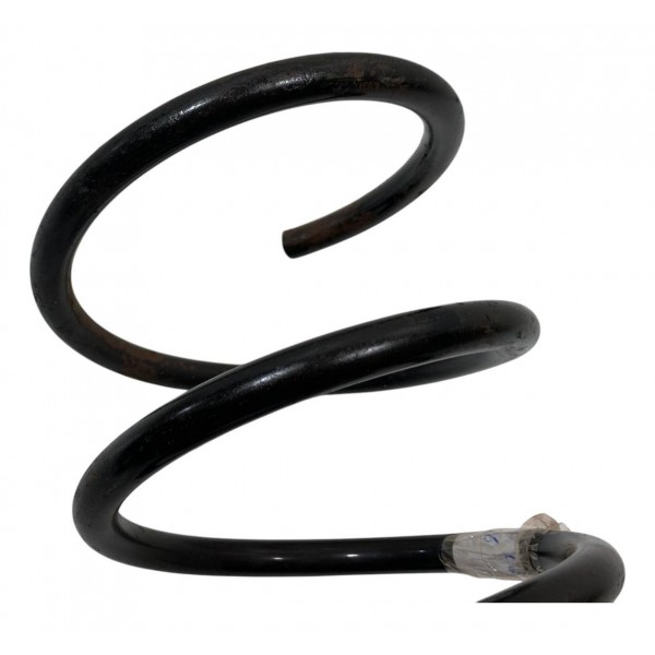 Mola Dianteira Renault Scenic 1.6 16v 2006