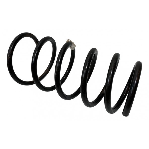 Mola Dianteira Renault Scenic 1.6 16v 2006